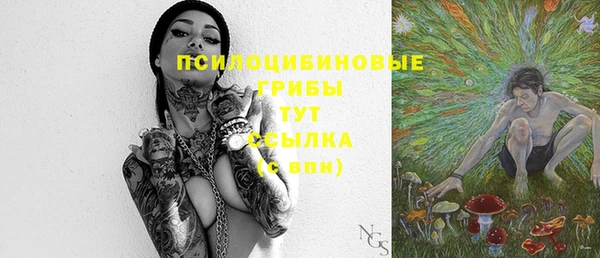 меф Белокуриха