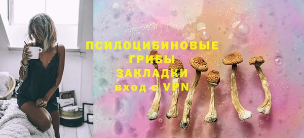 меф Белокуриха