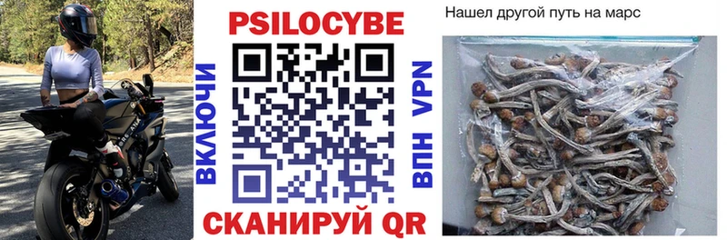 Псилоцибиновые грибы Psilocybine cubensis KRAKEN ССЫЛКА Невельск